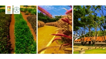 Sabor de Fazenda Ervas e Temperos. (+) Parque Urbano do Trote | RC-UPPQ-0134-9017